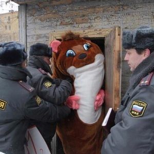 Meet your Posher, Carmine